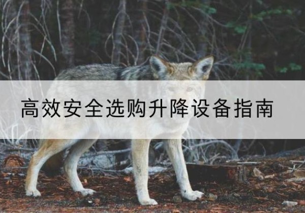 满洲里升降货梯厂家推荐-*安全选购升降设备指南