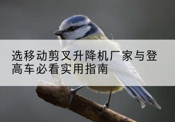 满洲里电动升降机厂家-选移动剪叉升降机厂家与登高车必看实用指南