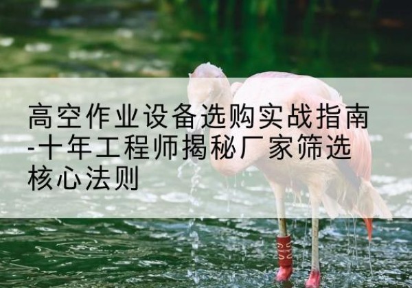 满洲里剪叉式升降机厂家-高空作业设备选购实战指南-十年工程师揭秘厂家筛选核心法则